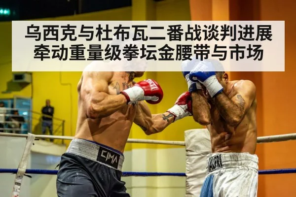 乌西克与杜布瓦二番战谈判进展牵动重量级拳坛金腰带与市场 | kaiyun